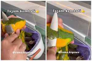 Tanpa batu asahan, ini trik mengasah pisau tumpul agar tajam lagi seperti baru cuma pakai 1 alat dapur