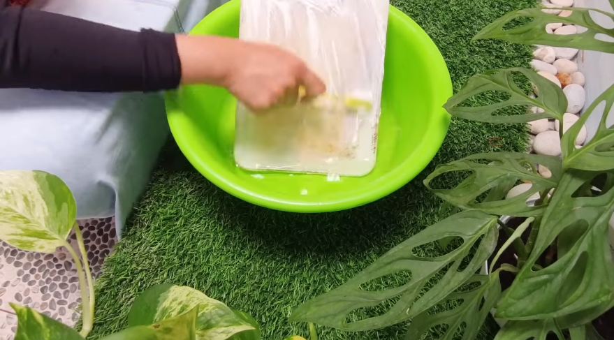 Cara membersihkan talenan plastik dengan tiga bahan sederhana, bikin kinclong seperti baru