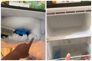 Bukan pakai kipas dan air panas, begini trik cepat cairkan bunga es tebal di freezer kurang dari 1 jam