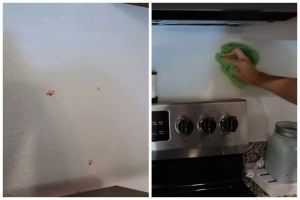 Cara efektif bersihkan noda di dinding dan perabot dapur dengan 2 bahan sederhana