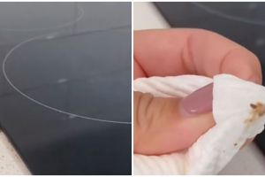 Tak perlu repot dibongkar, ini cara mudah bersihkan bagian bawah kompor listrik pakai 2 alat sederhana