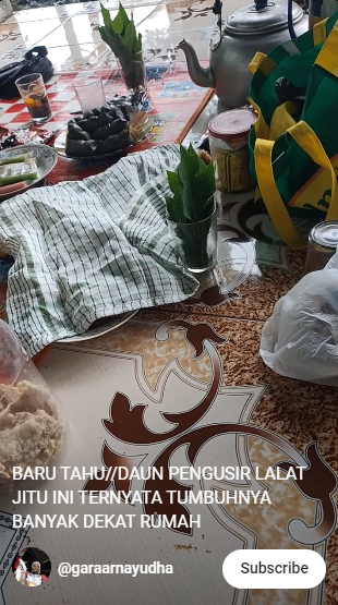 Cara ampuh usir lalat di meja makan, cuma pakai satu bahan alami yang mudah didapat