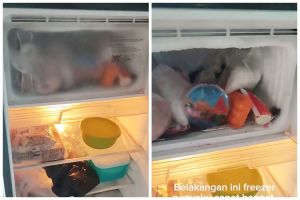 Kerap diabaikan, begini cara praktis dan antiribet cegah bunga es menumpuk di freezer kulkas 1 pintu