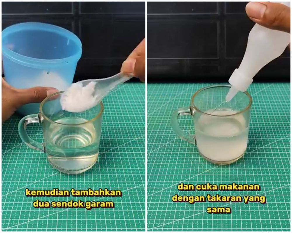 Tak perlu diberi lilin, ini trik ampuh mengusir lalat dari meja makan tanpa semprotan anti serangga