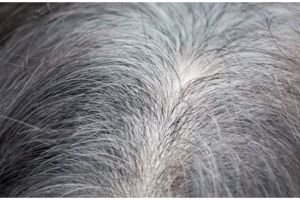 Cara cegah uban muncul kembali hanya pakai 2 bahan alami, hasilnya pekat bak semir di salon