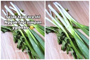 Bukan dibekukan di freezer, ini trik simpan daun bawang dan seledri agar lembek hingga 2 minggu