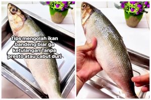 Tanpa presto atau cabut duri, trik mengolah ikan bandeng agar bebas tulang dan lebih aman dikonsumsi