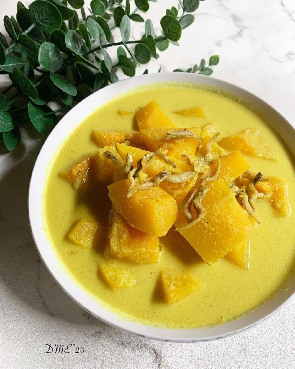 11 Kreasi masakan rumahan olahan ebi dengan sayur santan yang menggoda selera