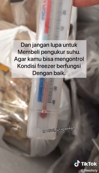 Habis beli kulkas baru? Lakukan trik simpel ini agar freezer terhindar dari bunga es tanpa alat khusus