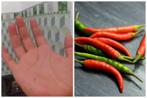 Cara unik menghilangkan rasa pedas dan panas di tangan setelah memotong cabai dengan dua bahan dapur