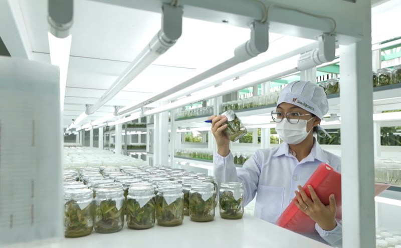 Perjalanan Tolak Angin membawa jamu Indonesia jadi berstandar farmasi yang eksis di pasar global