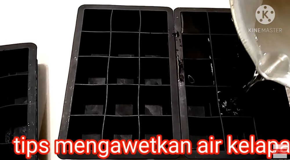 Cara menyimpan air kelapa agar tahan lama sampai berbulan-bulan