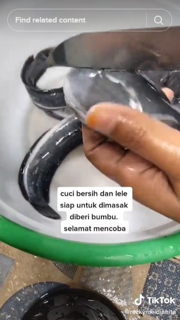 Trik membersihkan lendir lele agar tak pahit dan lebih renyah setelah digoreng