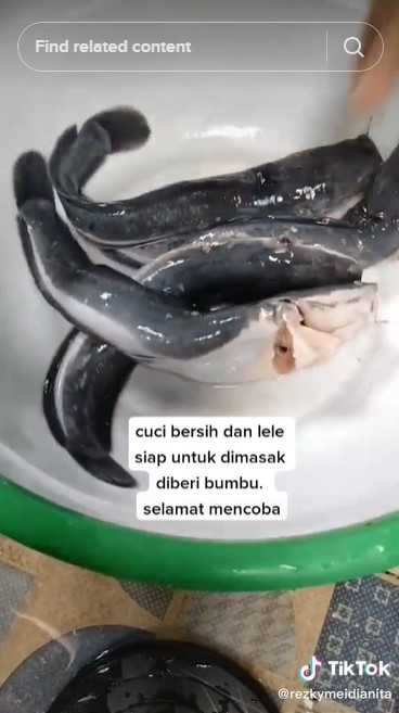 Trik membersihkan lendir lele agar tak pahit dan lebih renyah setelah digoreng