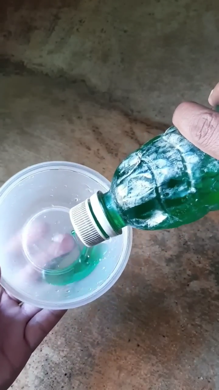 Cara membuat cairan pengusir semut di meja makan dengan dua bahan sederhana