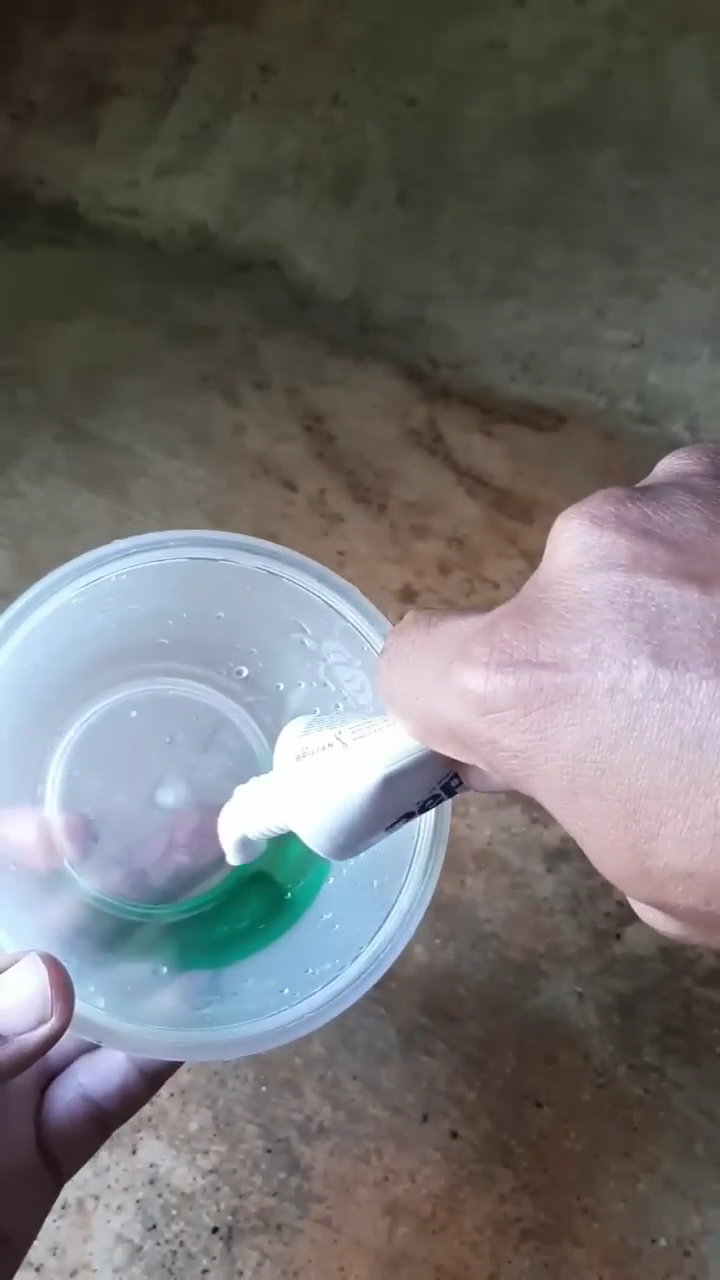 Cara membuat cairan pengusir semut di meja makan dengan dua bahan sederhana