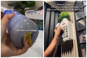Tak perlu bikin perangkap, trik mengusir cicak di dapur ini ampuh cuma dengan 3 bahan dapur