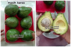 Bukan ditusuk lidi, ini cara memeram buah alpukat agar matang sempurna dan tak pahit dalam 2 hari