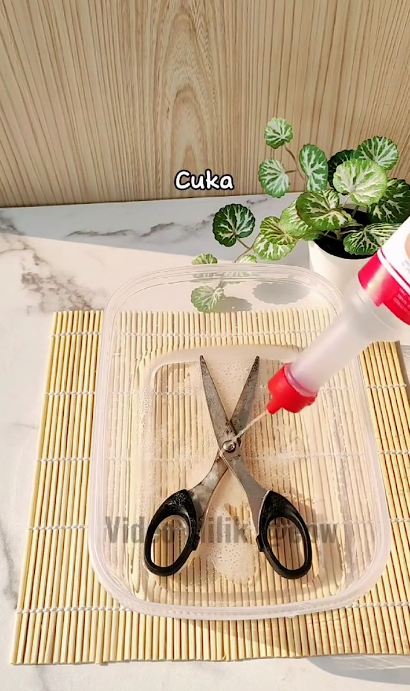 Cuma butuh 5 menit, trik hilangkan karat pada gunting tanpa diampelas ini andalkan 2 bahan dapur