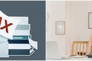 PPN 12% hanya berlaku untuk barang mewah, ini daftar yang berpotensi kena pajak