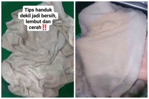Trik hilangkan noda hitam dan jamur di handuk dekil auto bersih maksimal, cuma pakai 2 bahan dapur