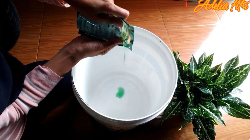 Andalkan 2 bahan dapur, ini trik ampuh mencuci kain pel dekil buluk agar putih dan bebas bau lagi