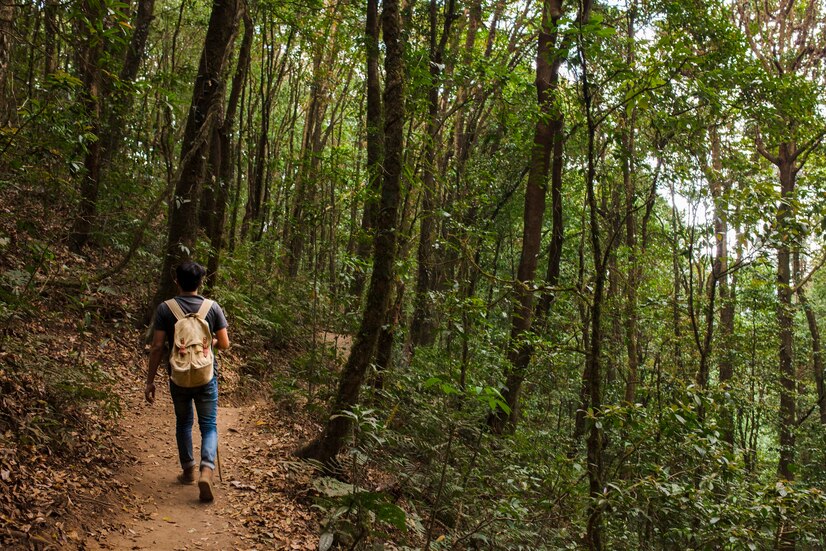 Dipercaya bikin makhluk halus menyamar jadi teman, 7 larangan memanggil nama teman di tengah hutan