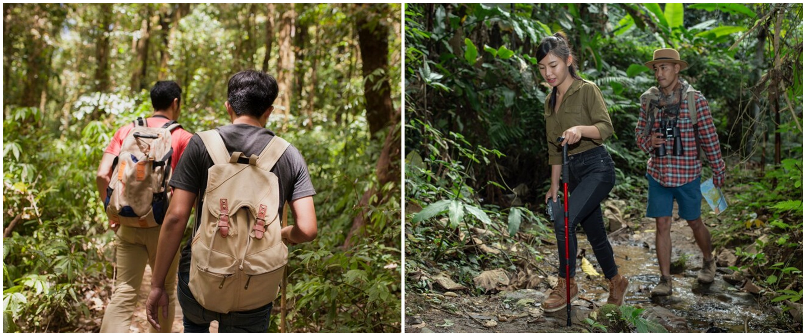 Dipercaya bikin makhluk halus menyamar jadi teman, 7 larangan memanggil nama teman di tengah hutan