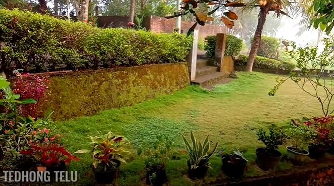 Bebas dari julid-an tetangga, 7 potret rumah sederhana tengah sawah ini halamannya di aliri sungai