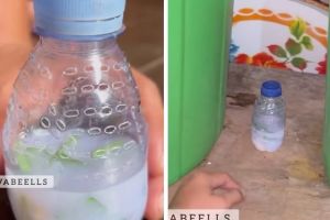 Trik ampuh bikin pengharum ruangan, bisa usir serangga dan awet berminggu-minggu pakai 3 bahan dapur