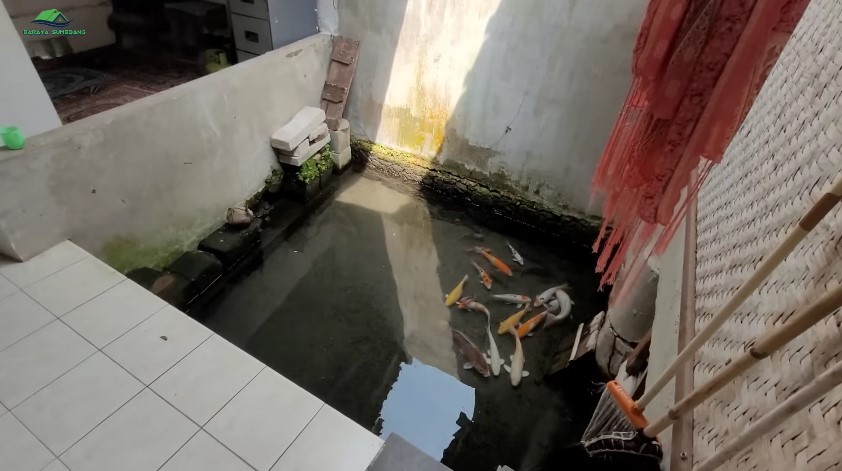 Luarnya mirip bilik di tengah empang, 9 potret rumah panggung antisombong bikin serasa tinggal di vila