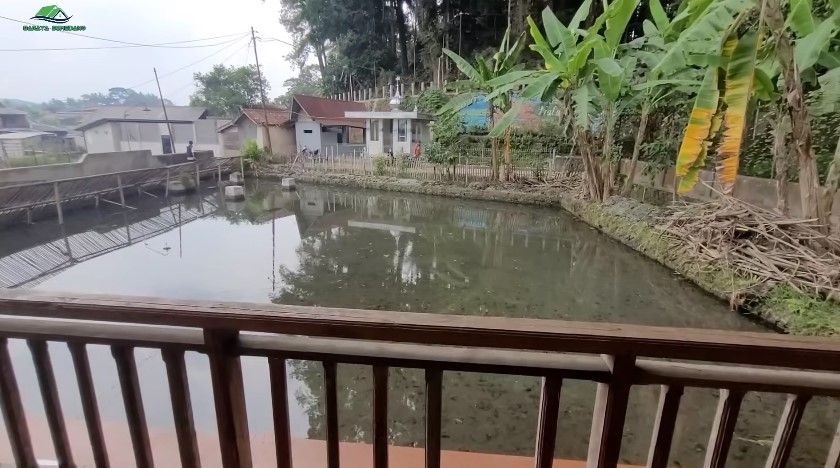 Luarnya mirip bilik di tengah empang, 9 potret rumah panggung antisombong bikin serasa tinggal di vila