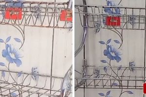 Cara mudah menghilangkan karat di rak piring, cuma pakai 1 bahan