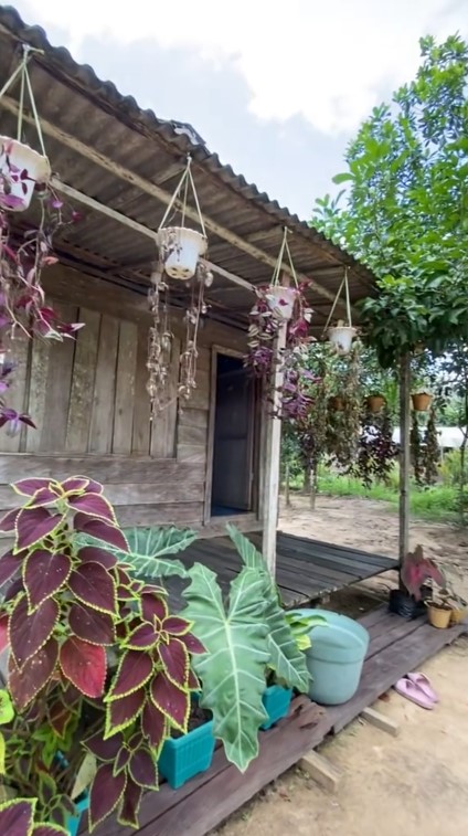 Dari luar mirip gubuk usang di tengah hutan, 9 potret rumah kayu ini meski colorful sedap dipandang