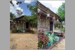 Dari luar mirip gubuk usang di tengah hutan, 9 potret rumah kayu ini meski colorful sedap dipandang