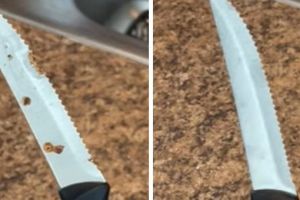 Tanpa cairan pembersih, ini trik jitu bersihkan karat pada pisau dengan modal 1 alat dapur