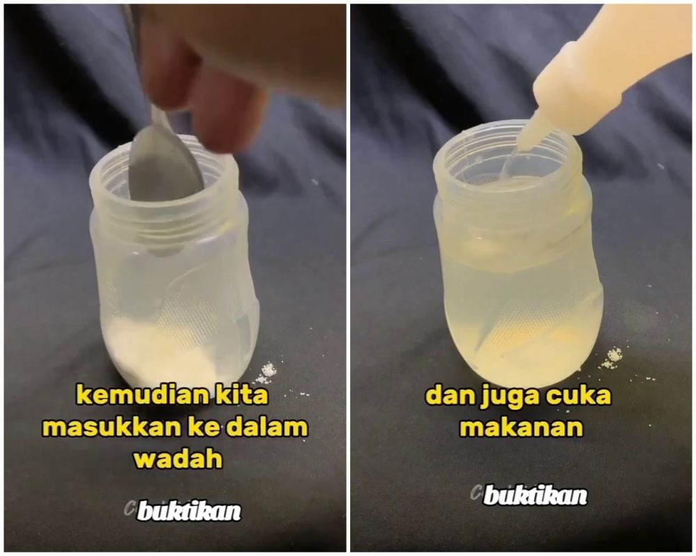Tanpa racikan bahan khusus, begini cara usir tikus di rumah dengan alami cuma pakai 2 bahan dapur