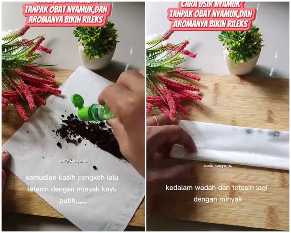Cara alami mengusir nyamuk tanpa bahan kimia ini bikin rumah wangi berhari-hari pakai 2 bahan dapur