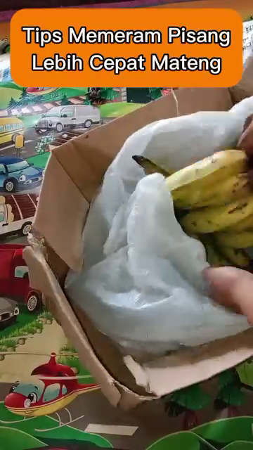 Karbit bikin berubah rasa, ini trik memeram pisang tanpa bahan kimia agar matang sempurna dalam 2 hari