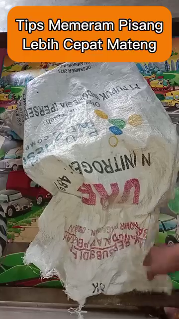 Karbit bikin berubah rasa, ini trik memeram pisang tanpa bahan kimia agar matang sempurna dalam 2 hari