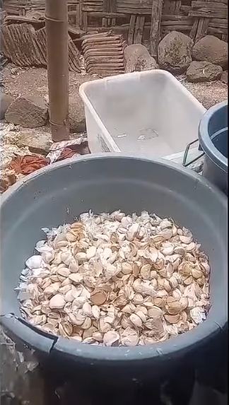Tanpa bantuan alat, ini trik cepat kupas bawang putih dalam jumlah banyak agar hemat waktu dan tenaga