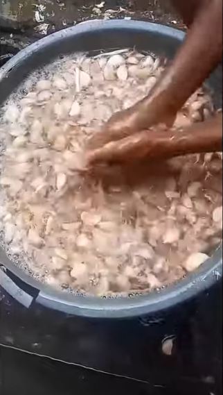 Tanpa bantuan alat, ini trik cepat kupas bawang putih dalam jumlah banyak agar hemat waktu dan tenaga