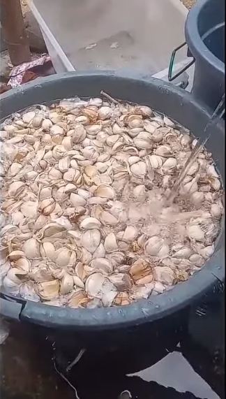 Tanpa bantuan alat, ini trik cepat kupas bawang putih dalam jumlah banyak agar hemat waktu dan tenaga