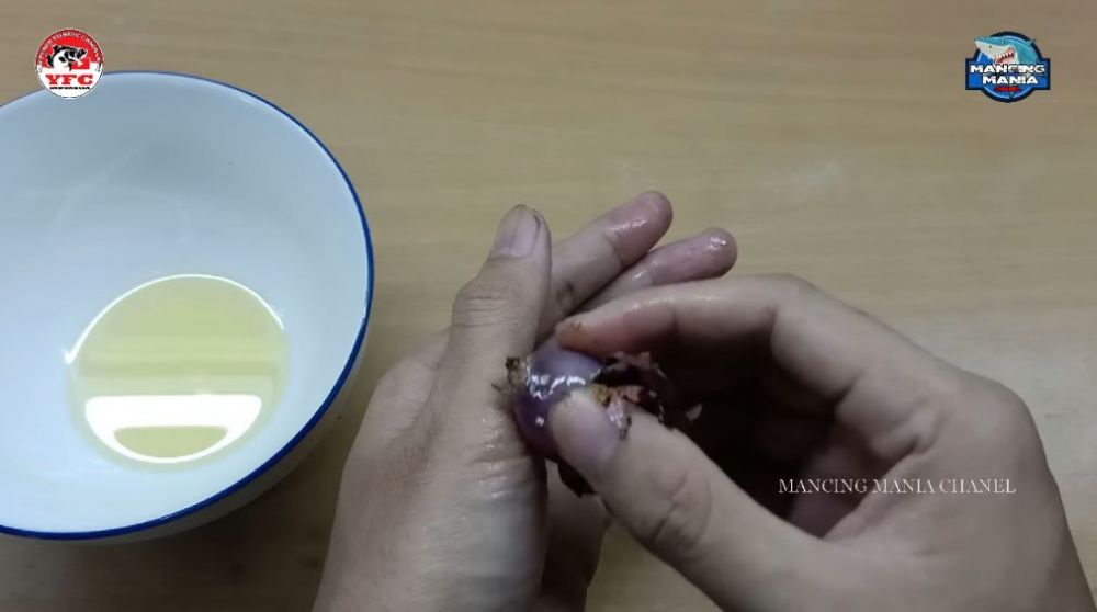 Cara mengobati luka akibat tertusuk duri atau terkena patil ikan, andalkan 2 bahan dapur sederhana