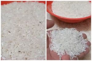Trik mengusir kutu beras pakai 1 bahan dapur ini cepat tak butuh lama