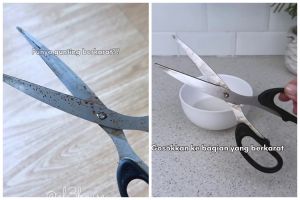 Tanpa digosok ke kardus, begini cara menajamkan gunting tumpul dengan cepat menggunakan 1 sampah dapur