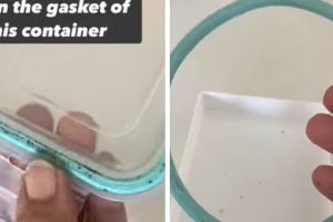 Trik menghilangkan noda jamur di karet tutup toples ini cuma pakai 2 bahan dapur