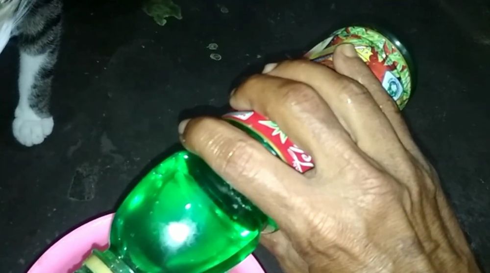 Trik cepat dan aman hilangkan sarang tawon tanpa tersengat, andalkan pakai 1 bahan dapur