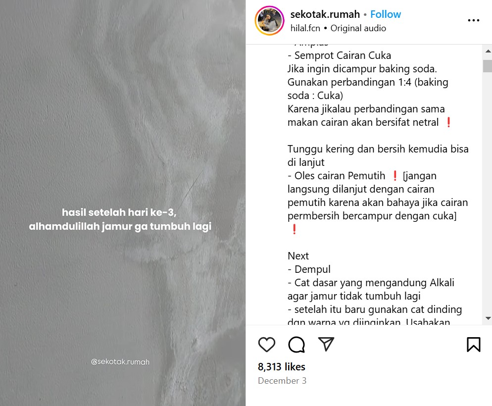 Jangan cuma dibersihkan, ini trik basmi jamur di tembok agar tak muncul lagi pakai 2 bahan dapur