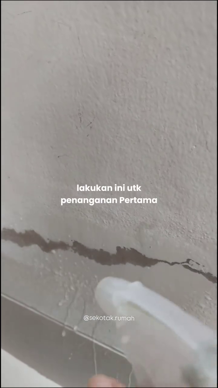 Jangan cuma dibersihkan, ini trik basmi jamur di tembok agar tak muncul lagi pakai 2 bahan dapur